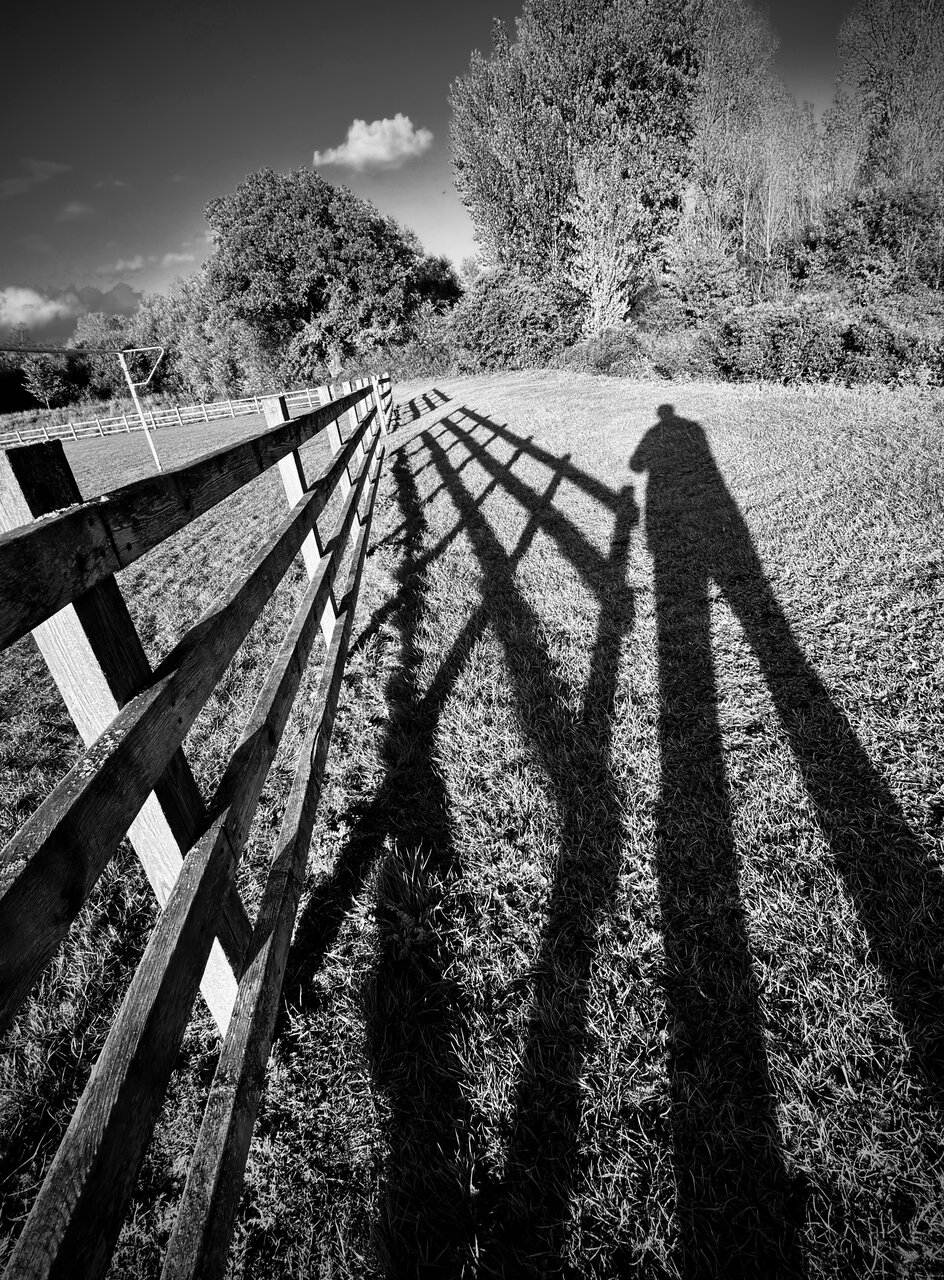 Без елфи от Владимир Димитров - nyamago