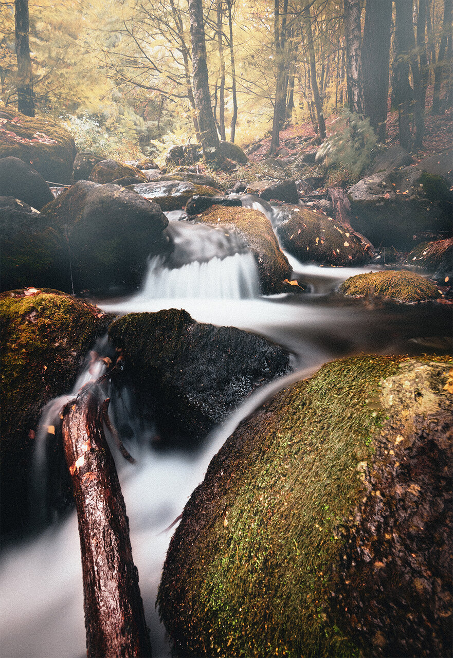 Есенно, мъгливо.. от Dimitar Dimitrov - ДимитърДимитров