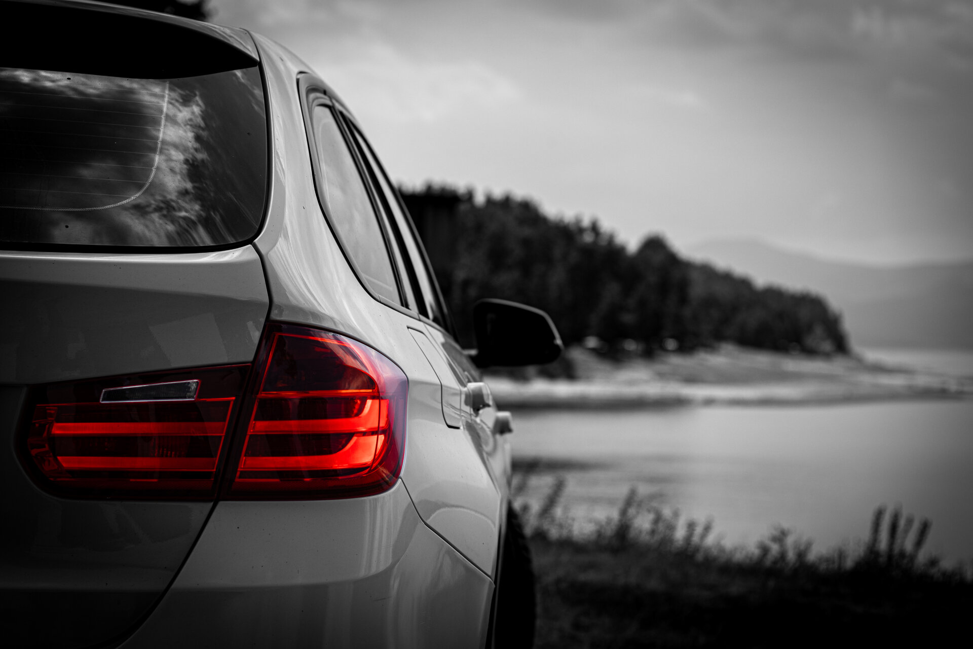 Около цветовете! от Denislav Samunev - Samunev44