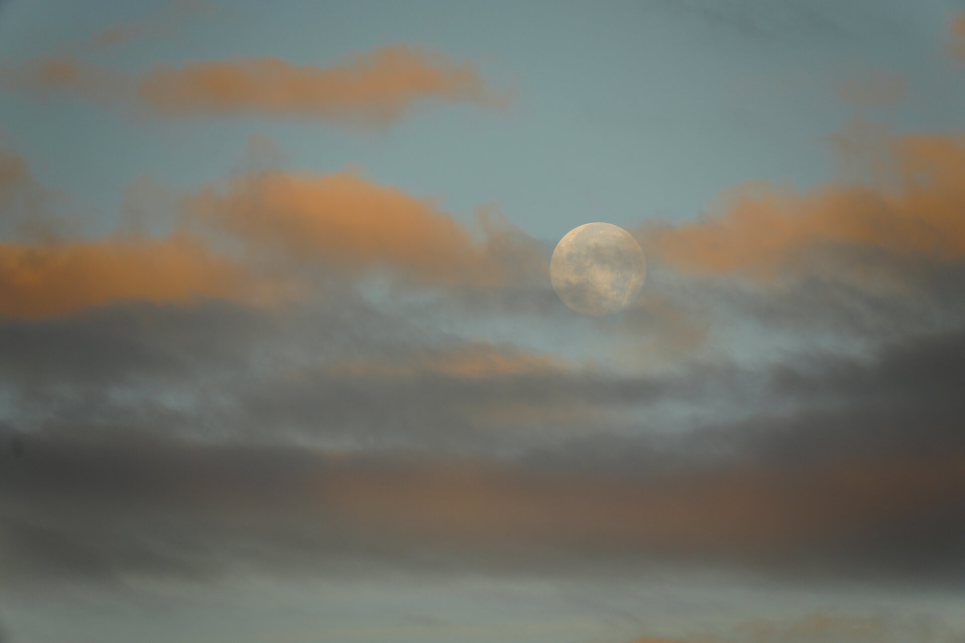 Бяло пълнолуние от Marina Nizamska - marinizam