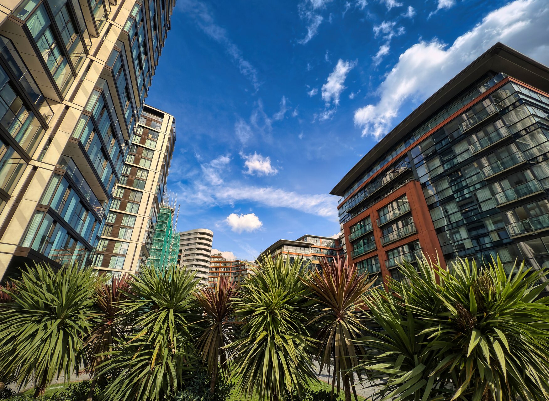 Градска джунгла #34 от Владимир Димитров - nyamago