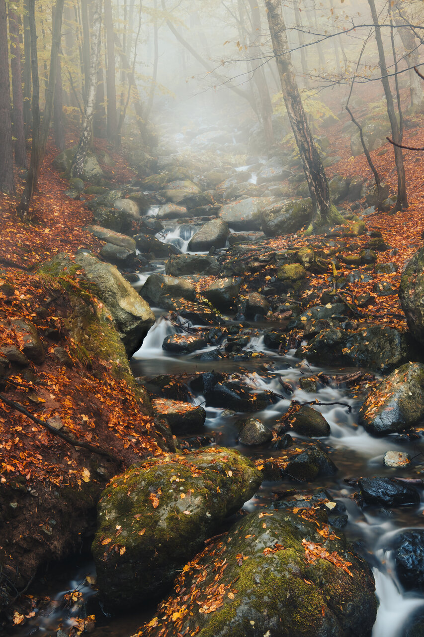 Есенно, мъгливо???? от Dimitar Dimitrov - ДимитърДимитров
