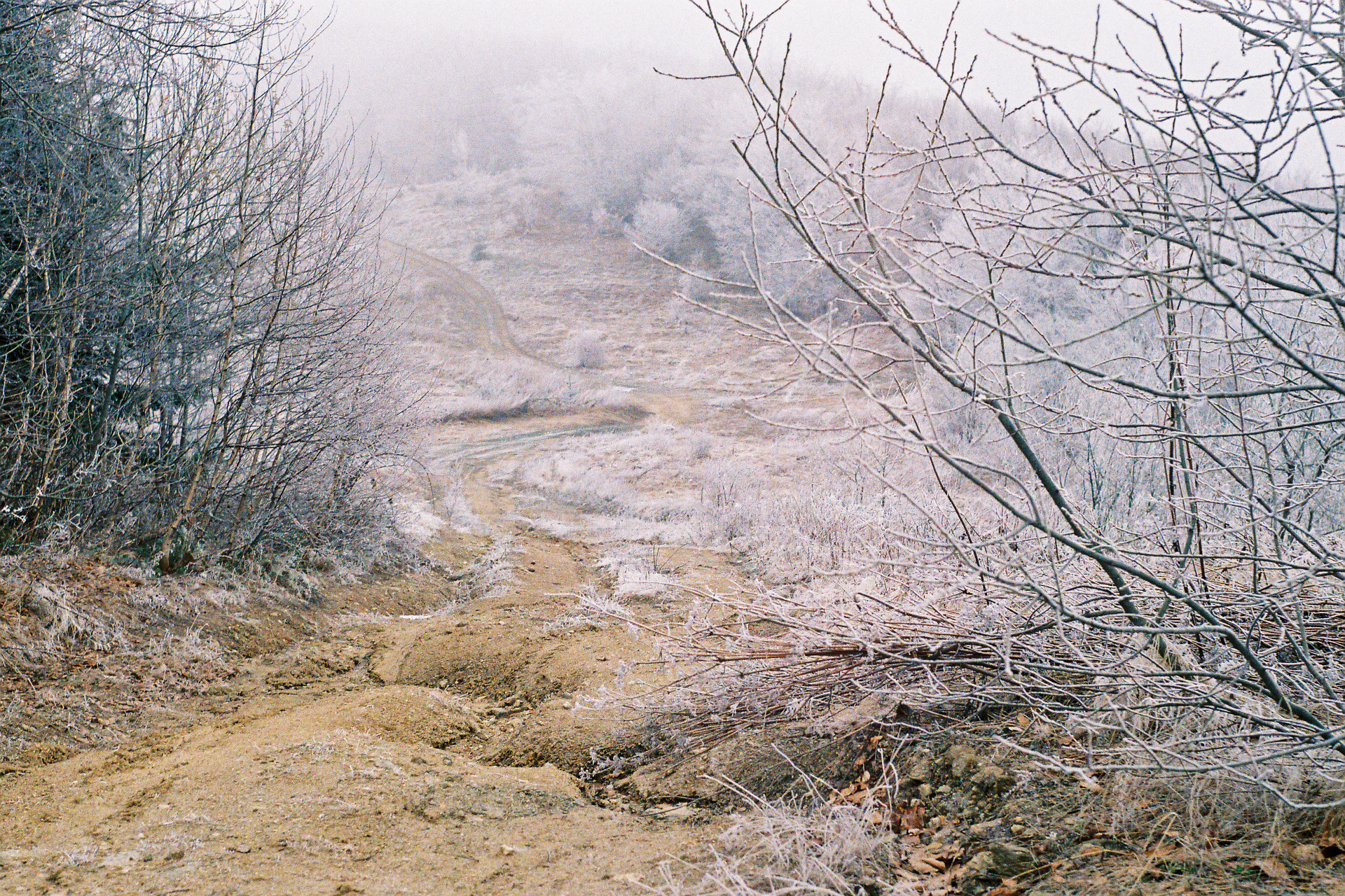 Скреж по билото от Stoqn - fotocrop