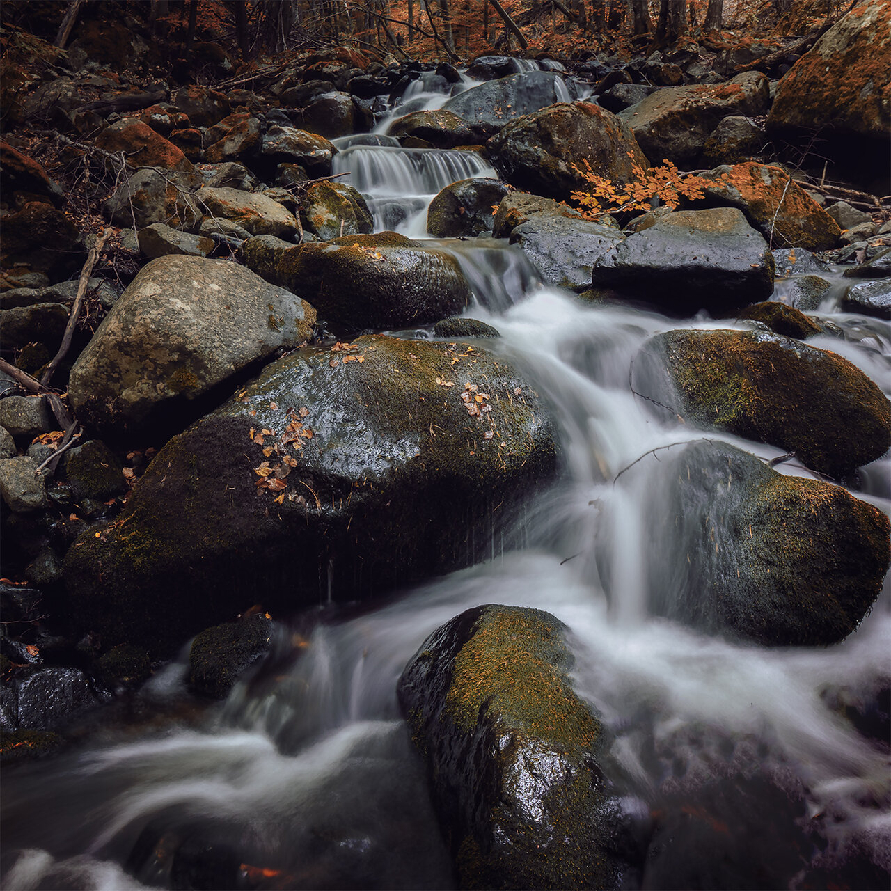 *** от Dimitar Dimitrov - ДимитърДимитров