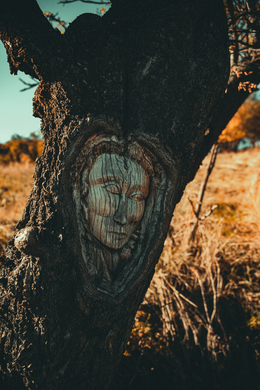 Пазителката на Вазовата пътека от Vlad Bunovski - bunovski