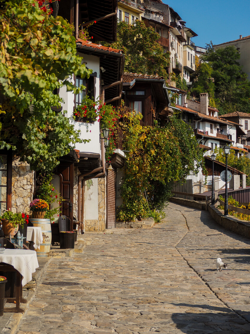 Улица "Генерал Гурко" от Aleksandra Jordanova - АлександраВ