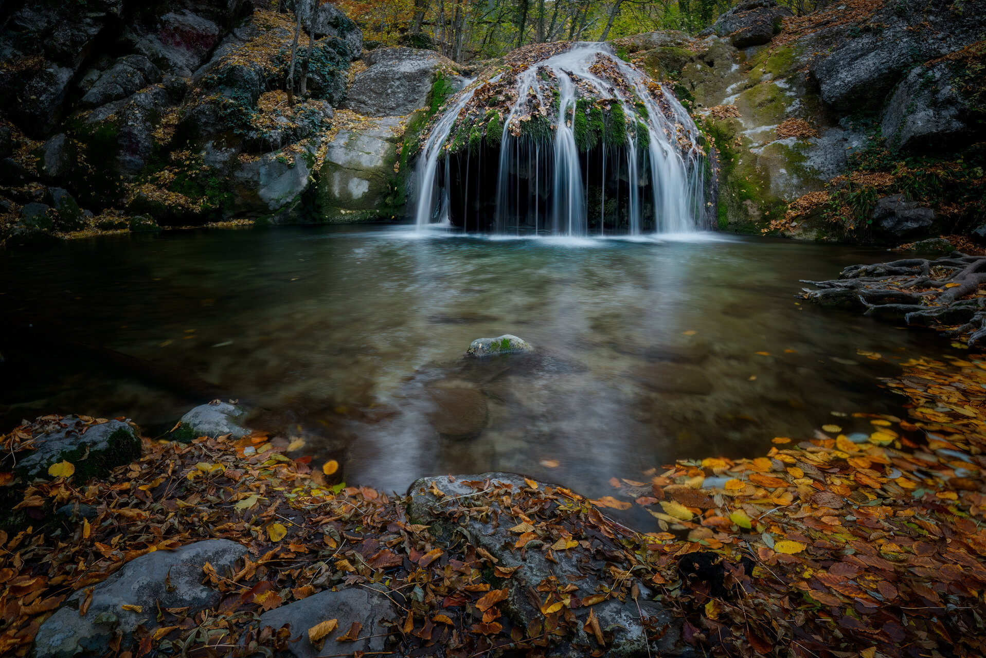 Осень вновь напомнила от Aleksandr Plehanov - plexanov_men