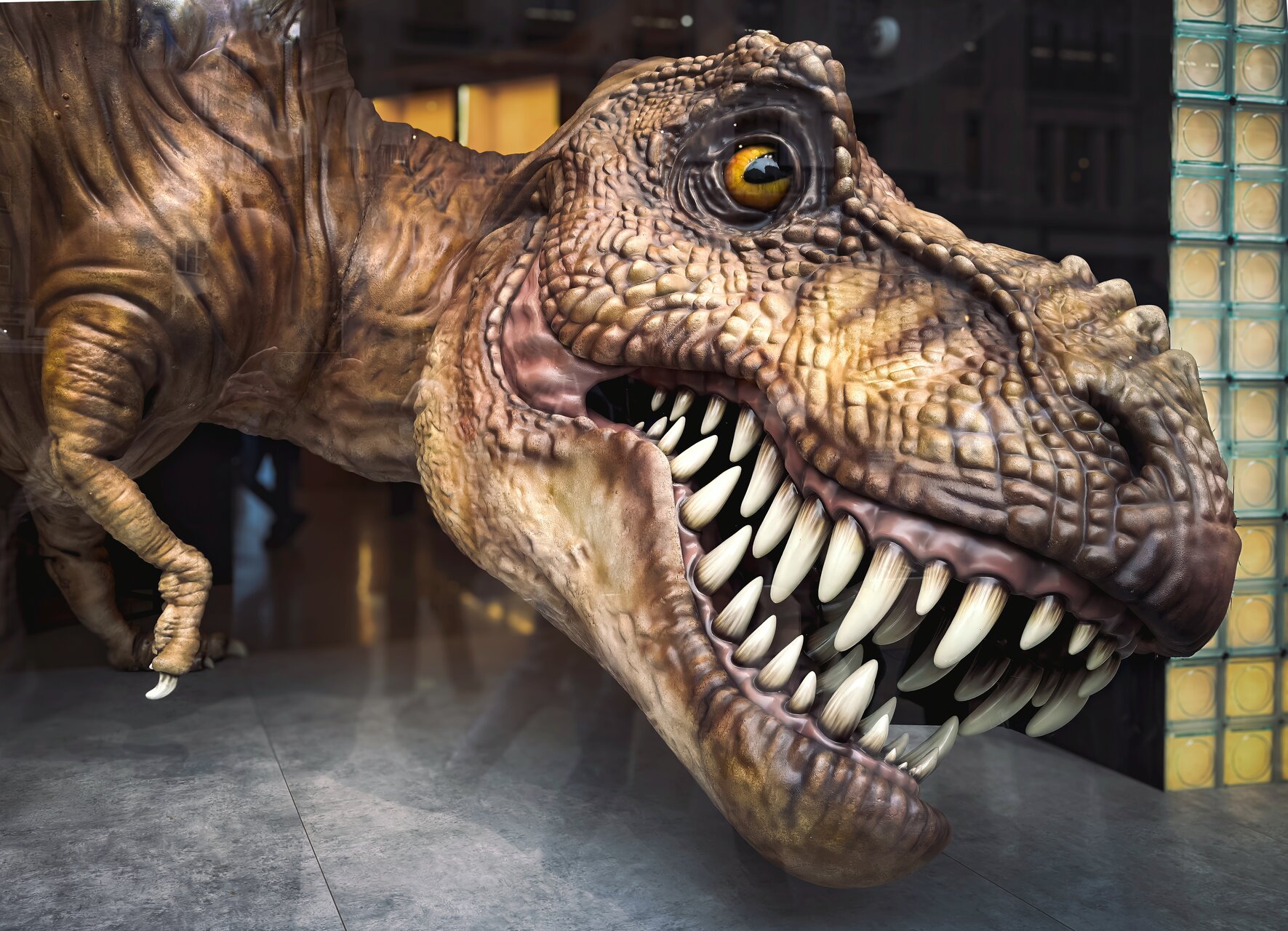 Alter Ego от Владимир Димитров - nyamago