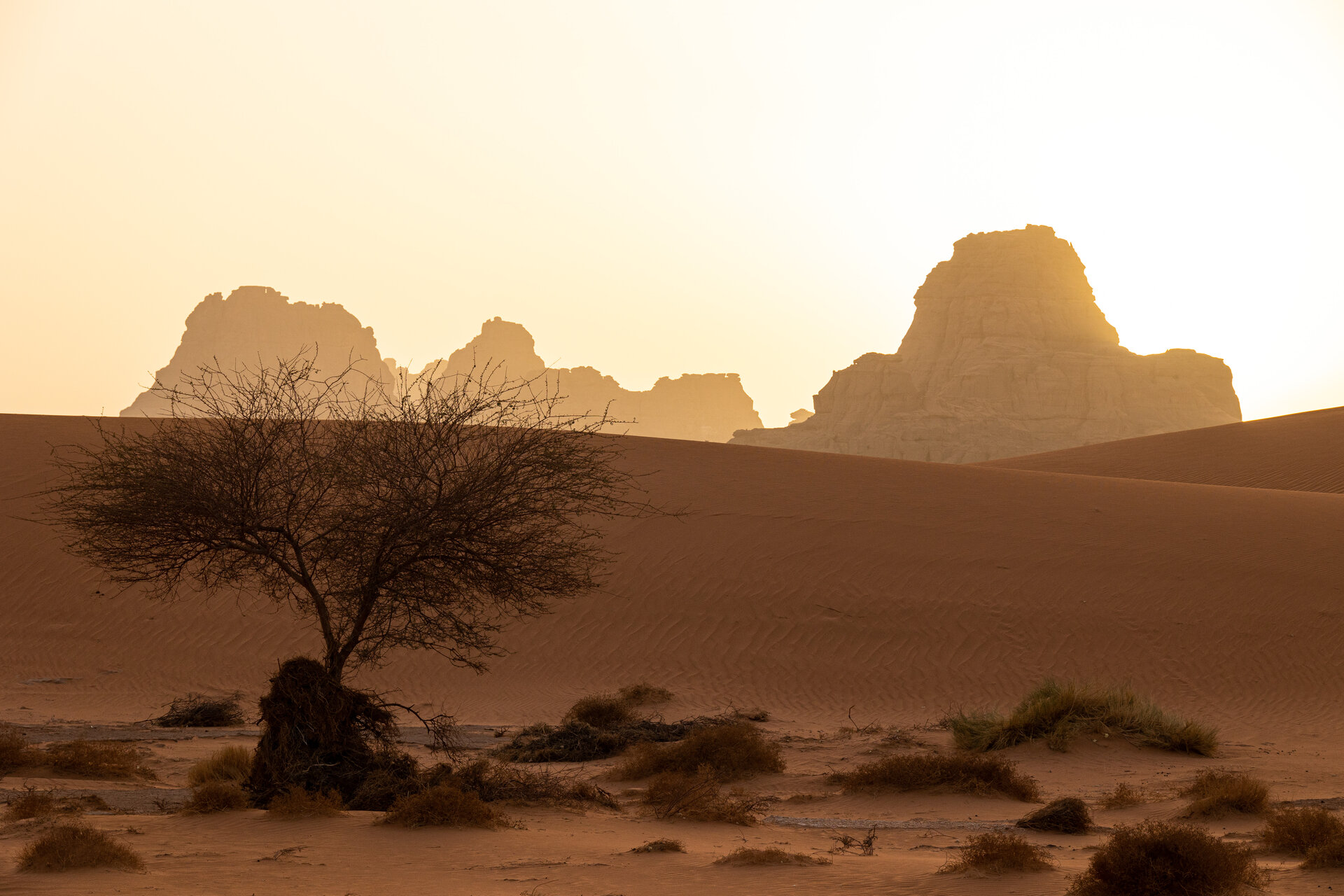 Тасили н'Аджер - Сахара от Aleksandar Petrov - SaS