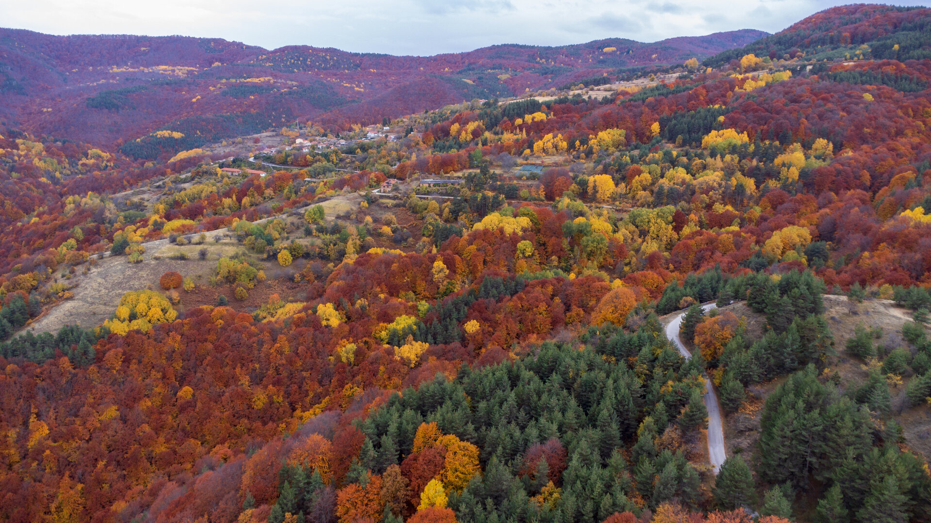 Есен в Родопа планина от Димитър Василев - tahio