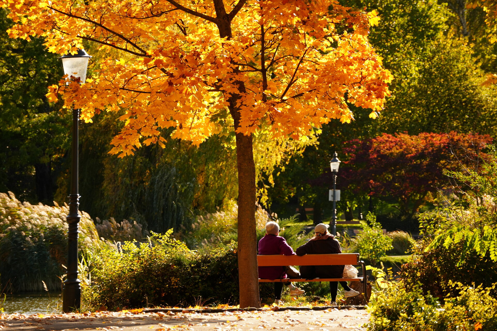 Есенен припек от Marina Nizamska - marinizam