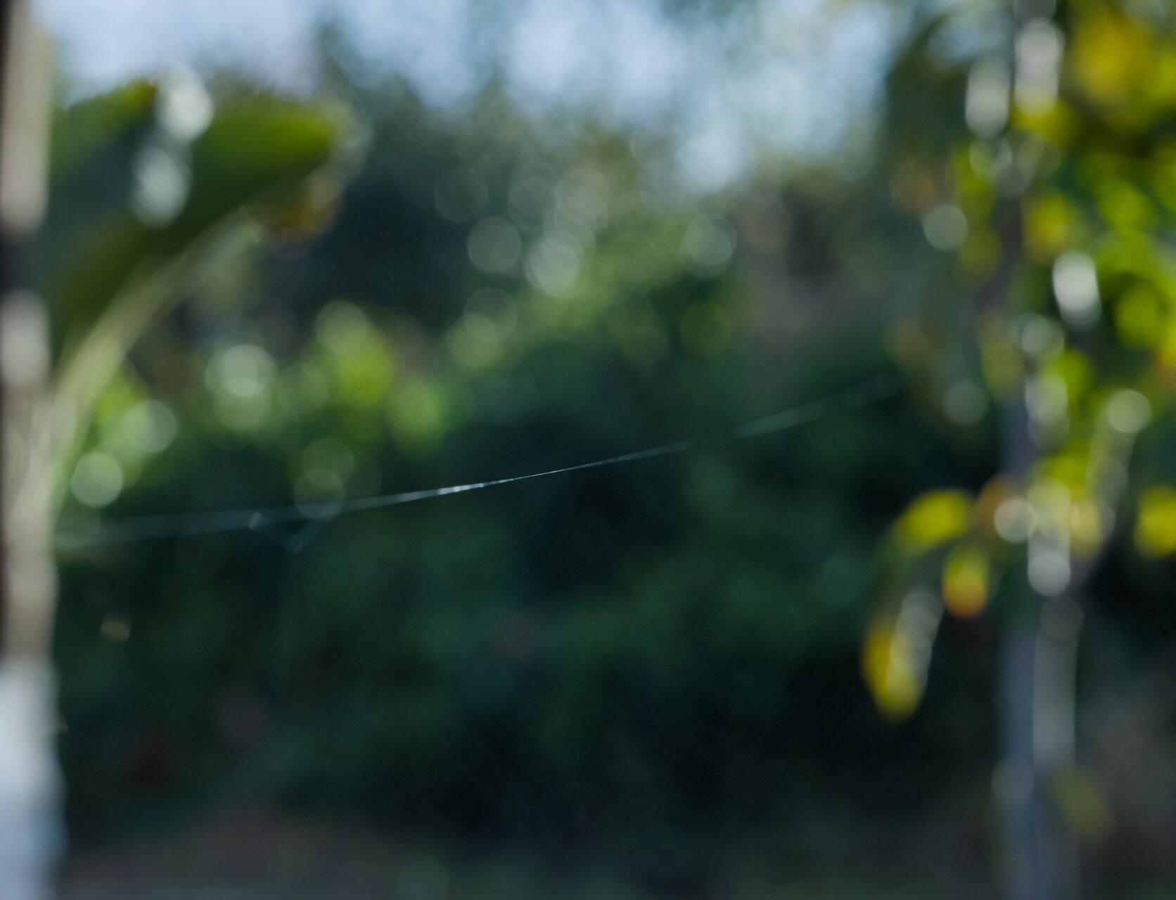 Да ходиш по въже от Stoqn - fotocrop