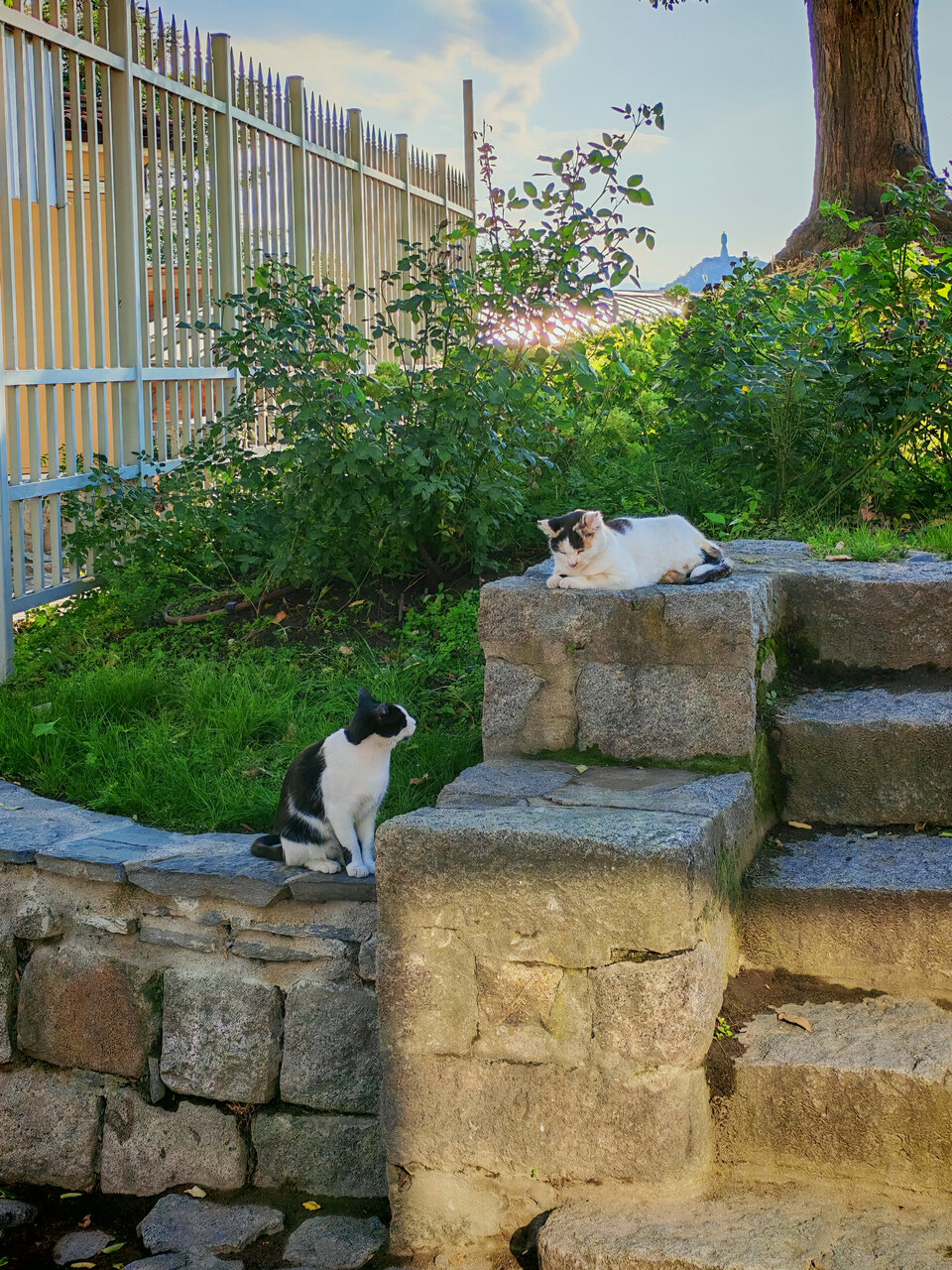 Пловдив от Takvor Nazarqn - Taki98