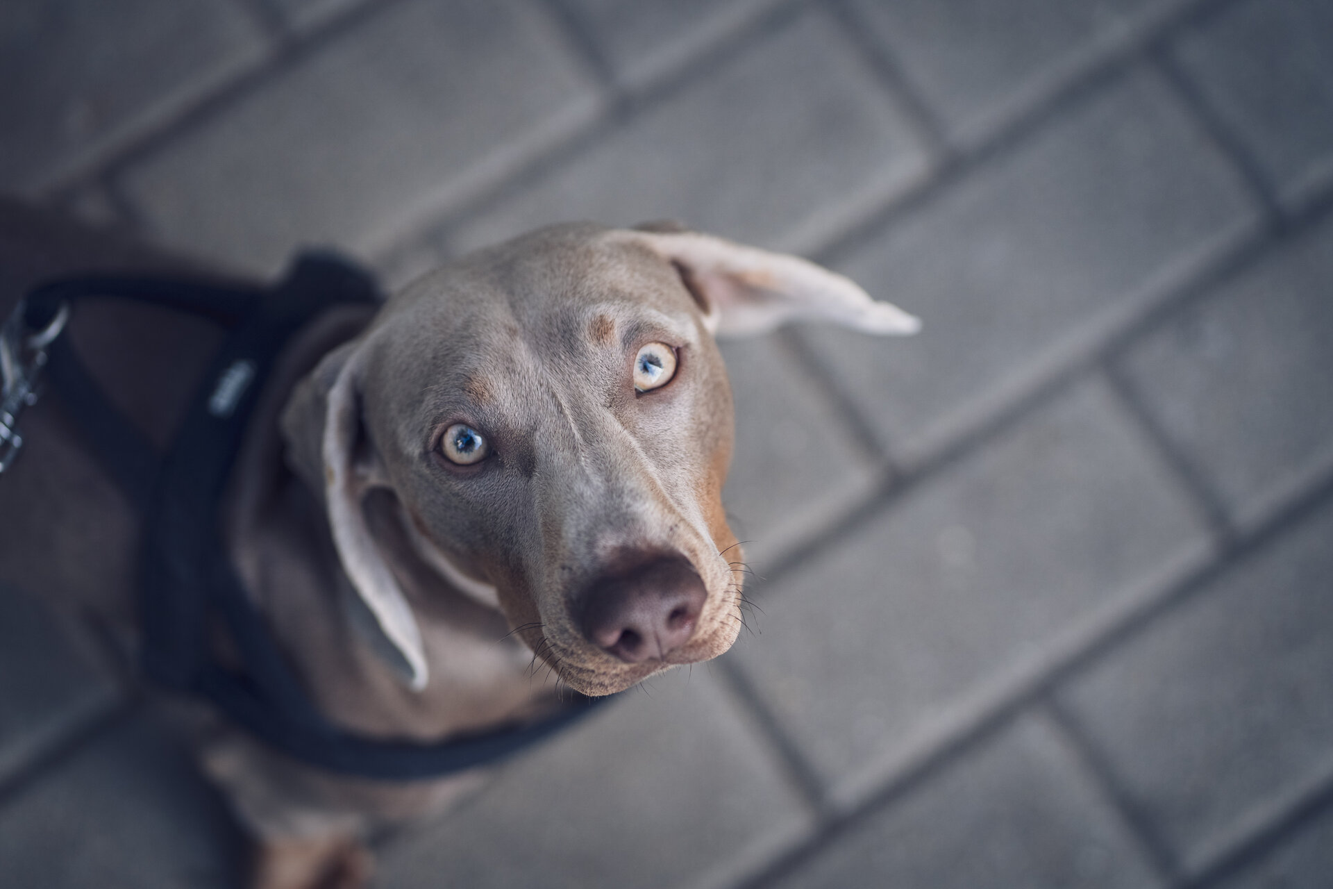 Mars and The City от Todor Mitev - todoryt