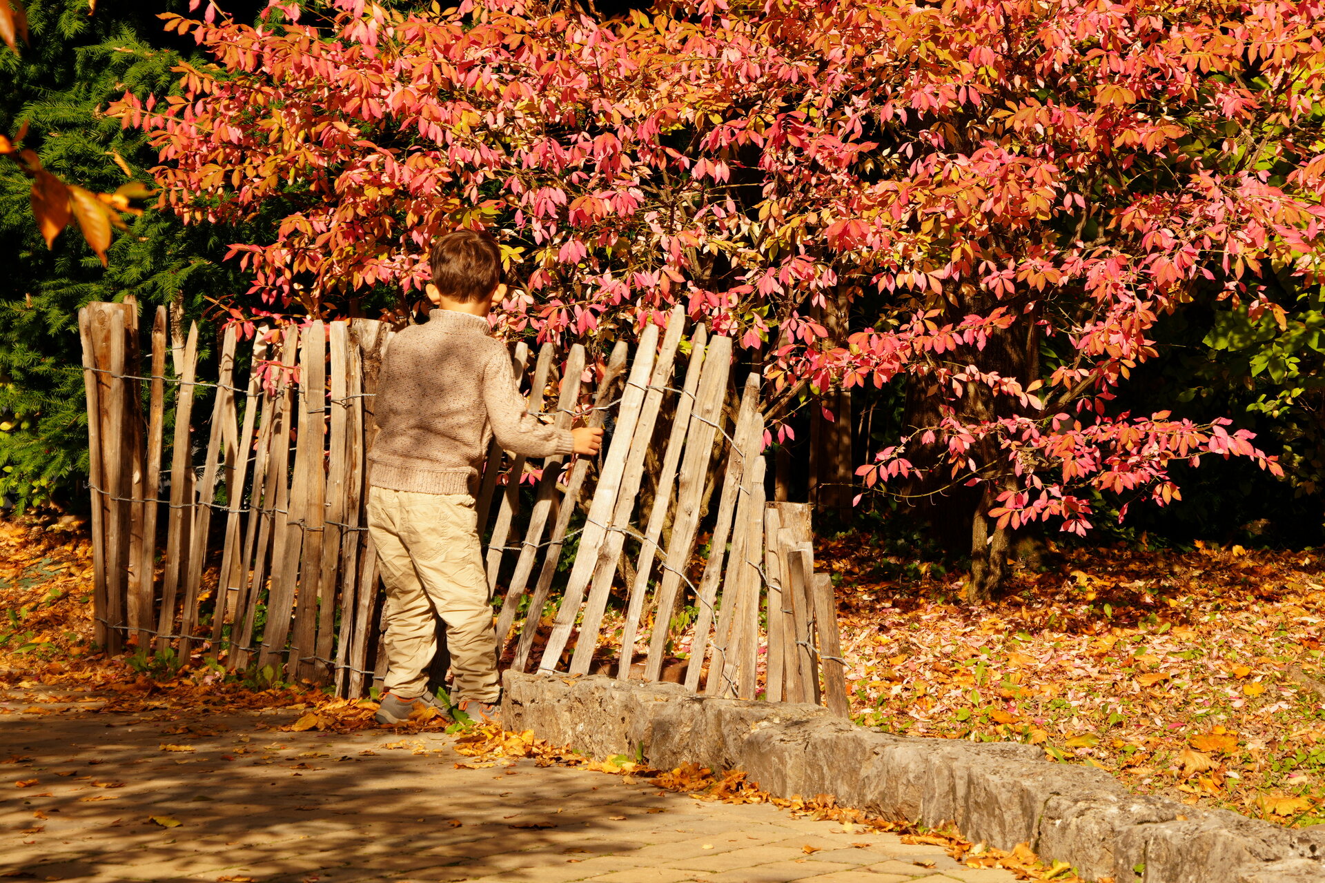Фотосесия? Не днес! от Marina Nizamska - marinizam
