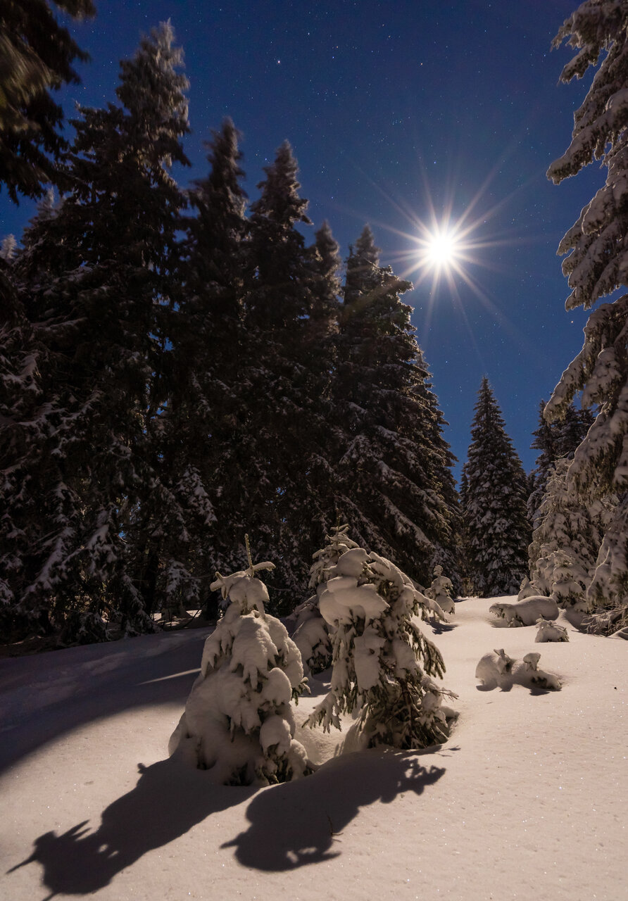 ПЪЛНОЛУНИЕ В ПЛАНИНАТА от Захари Минчев - Zaxo