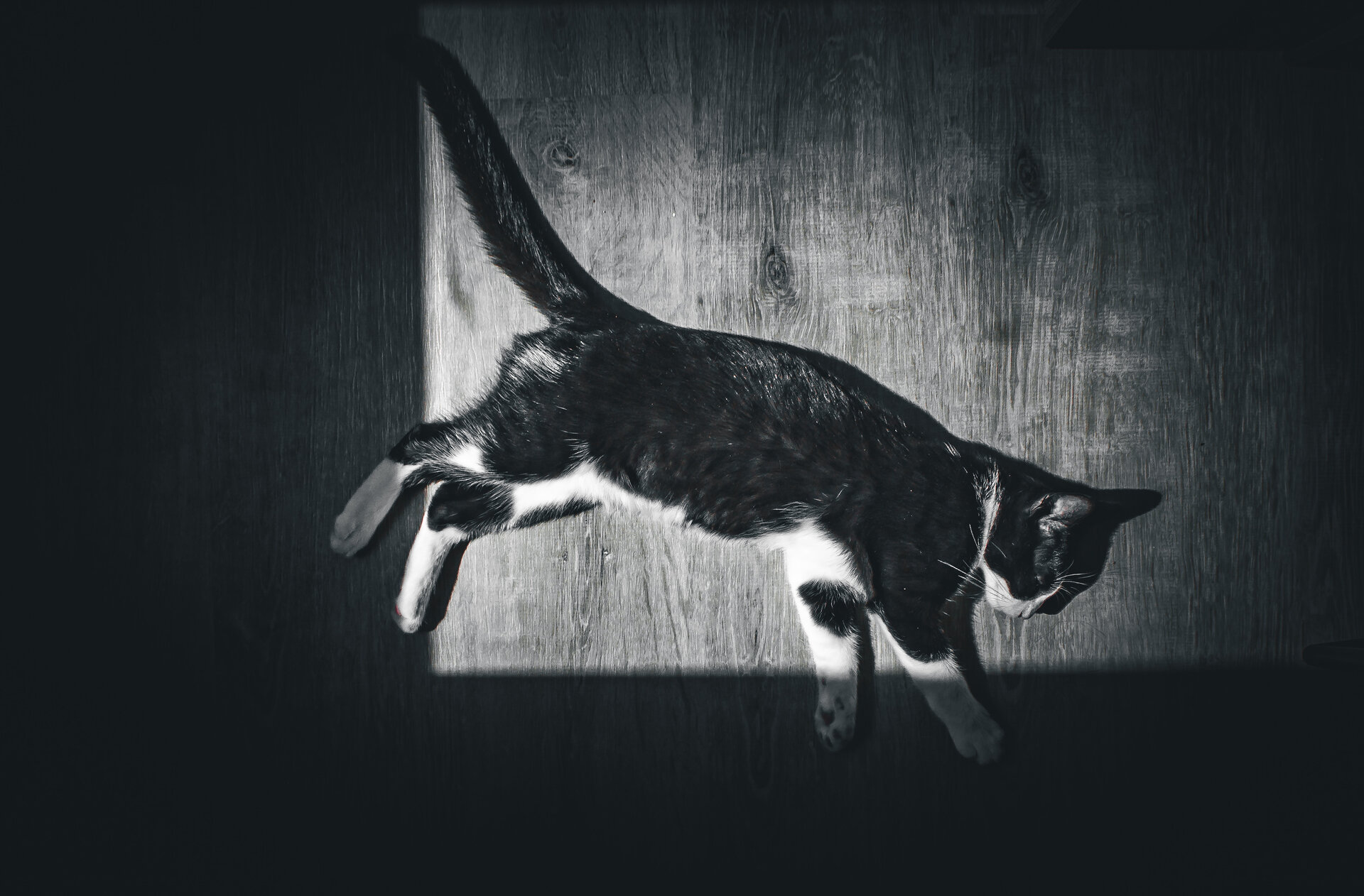 Sleep Outside of the Box от Християн Николов - Hristiqn.Nikolov