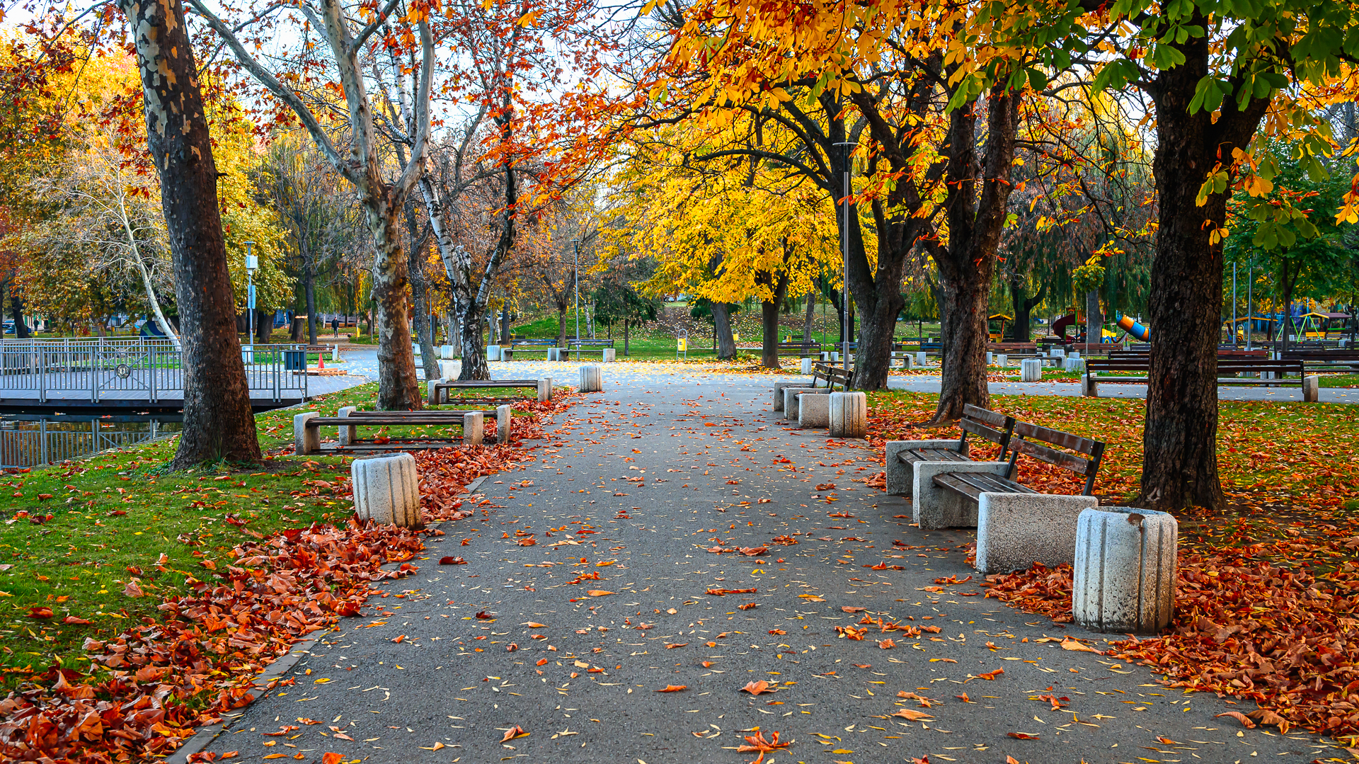Есенна алея в парка от Milen Mladenov - resco