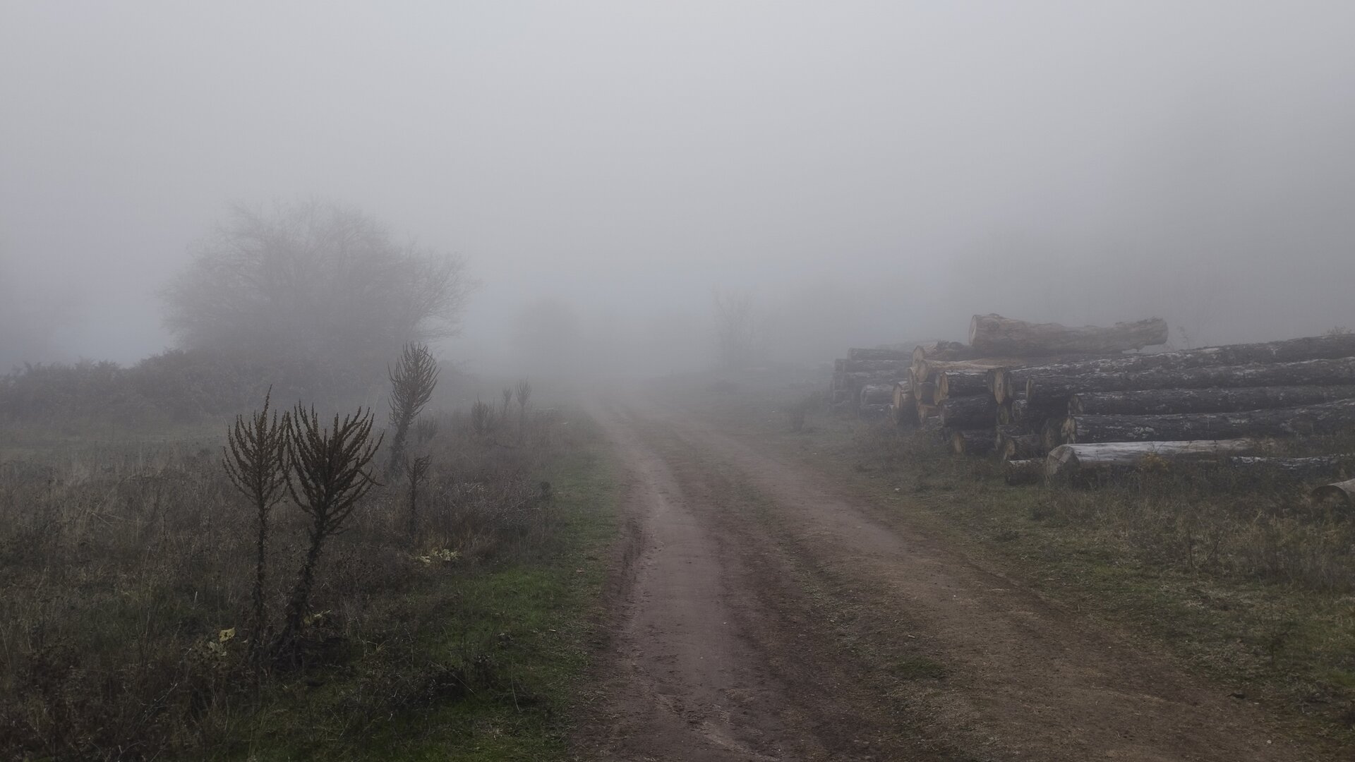  от Иван Петков - armadil013