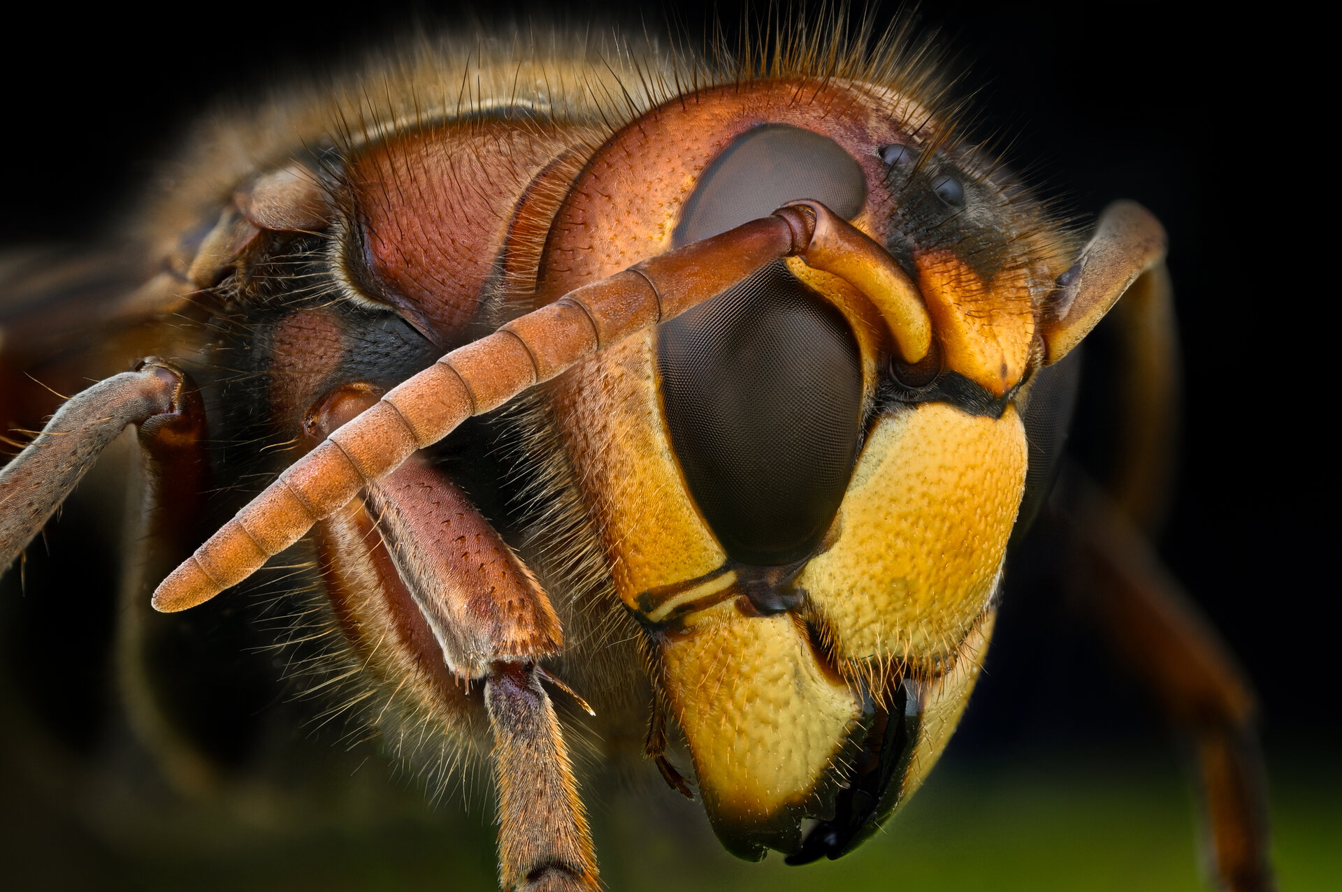  от Tsvetan Ganev - ceclii