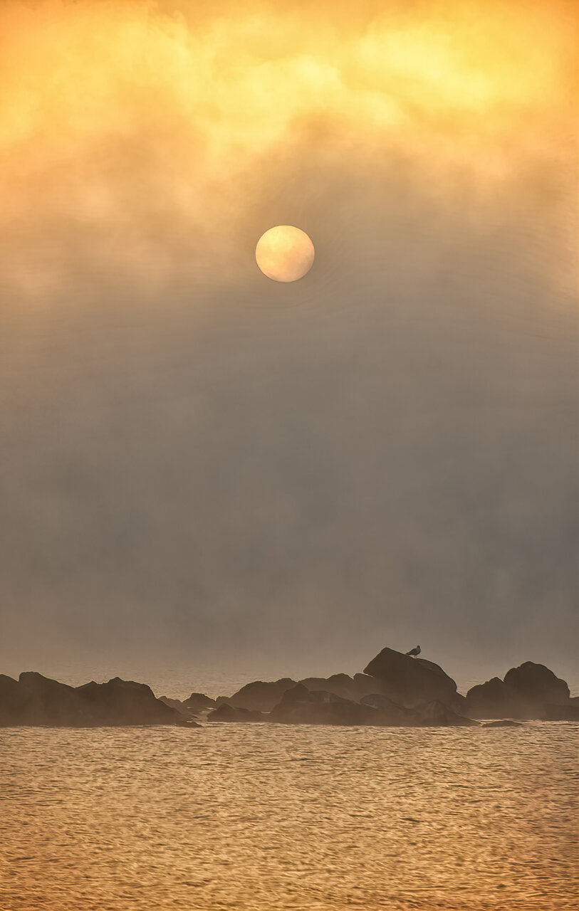 В мъгливата утрин от Atanas Hristov - naskoart