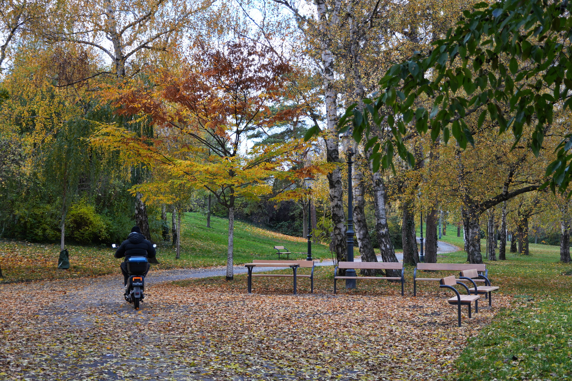 Напряко през есенната тишина от Marina Nizamska - marinizam