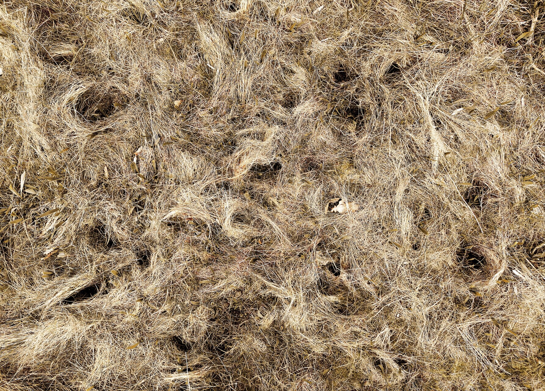 Слънце на земята от  Андрей Граховски - Граховски