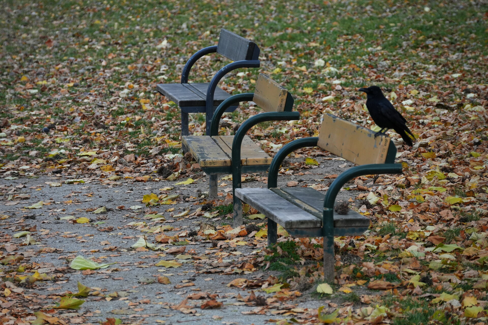 Събеседване с тишината от Marina Nizamska - marinizam