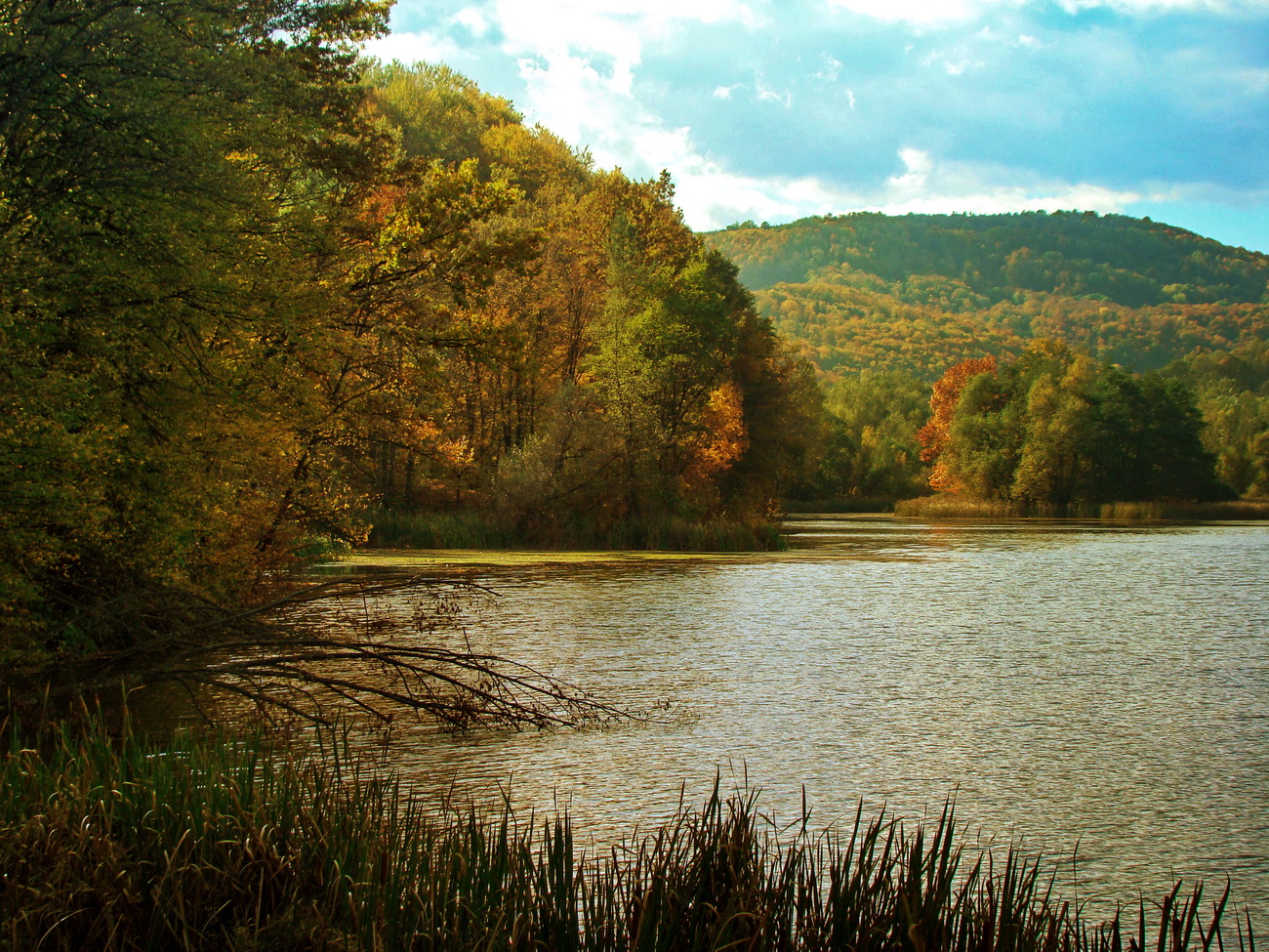 Есенно... от Rayna Ivanova - r_iva