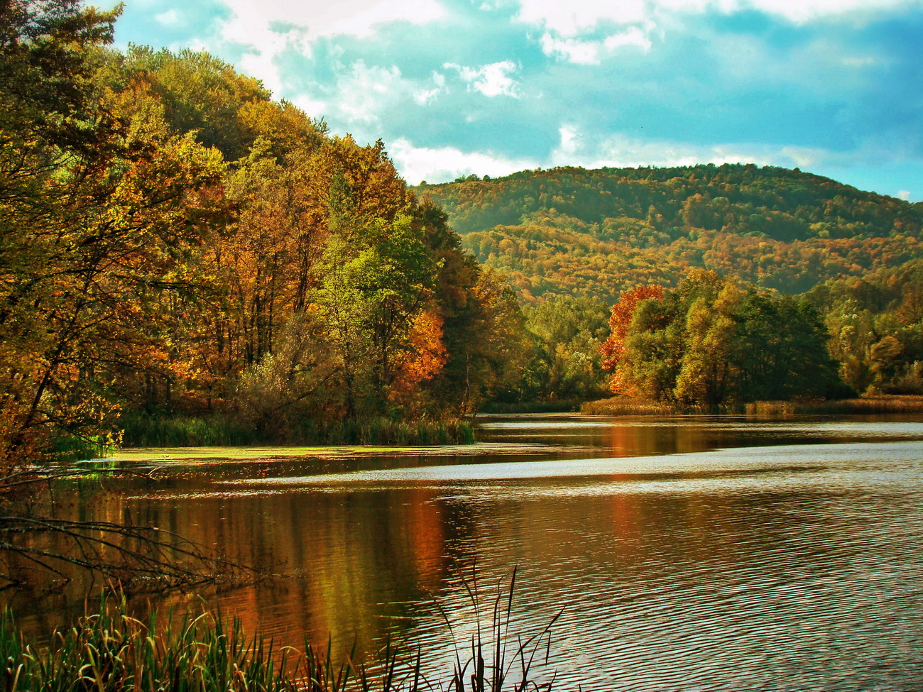 Есенно... от Rayna Ivanova - r_iva