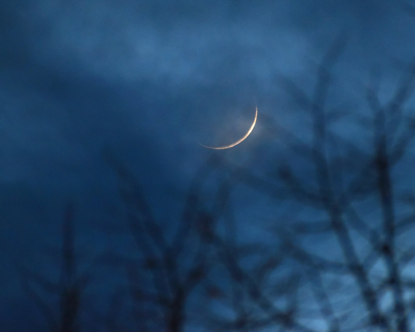 Мистично от Elena Vasileva - elena55