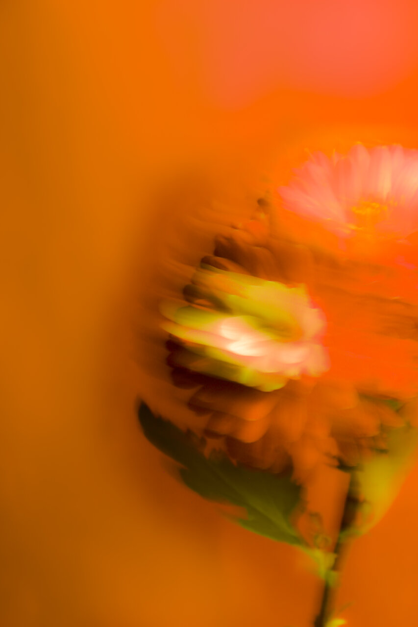 Haze от Natalia Krisenko - NataliaKrisenko