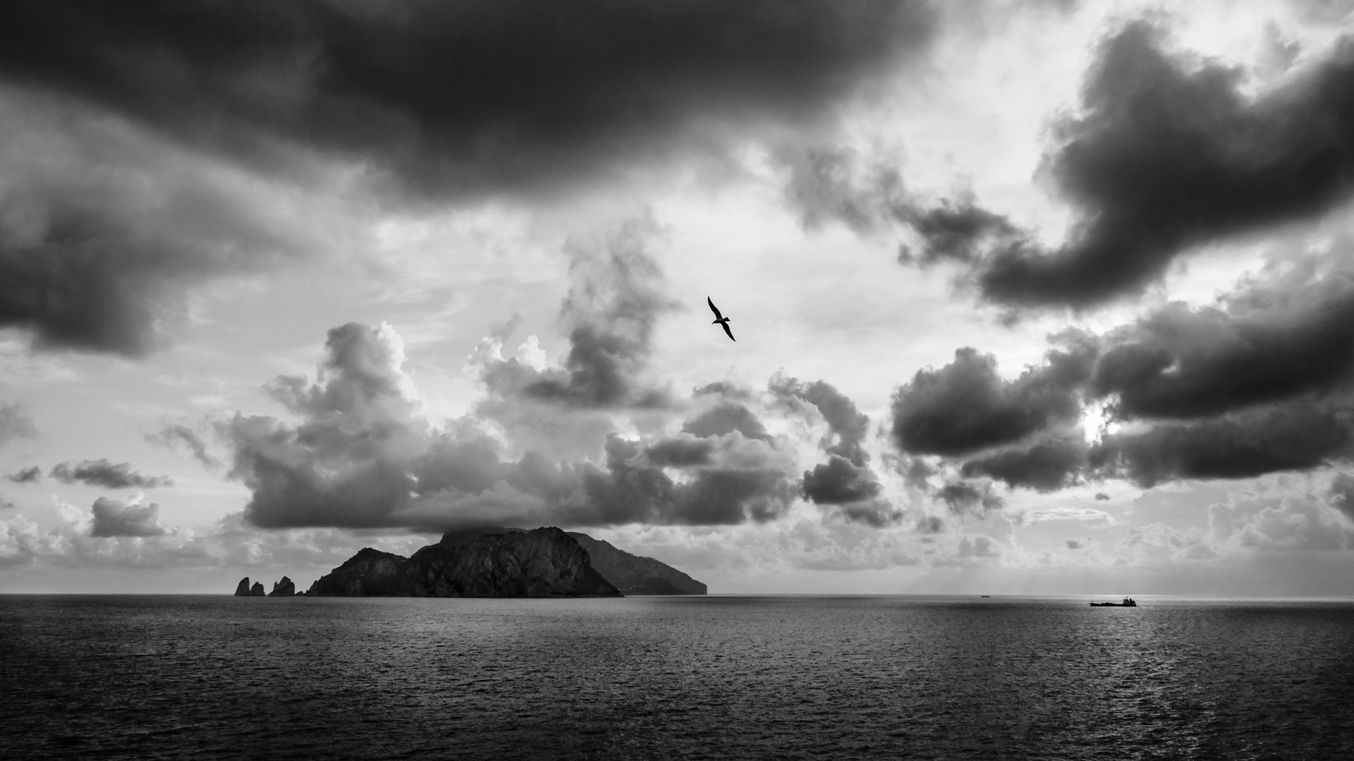 Нека бъде свобода! от Vania Tonova - vivian