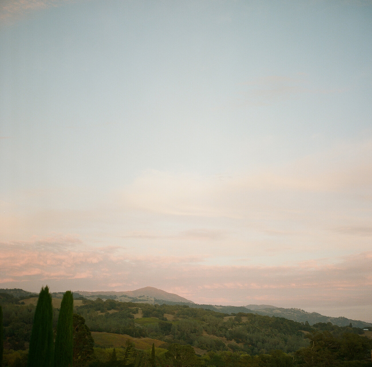 Sonoma от radostina boseva - radostina.boseva