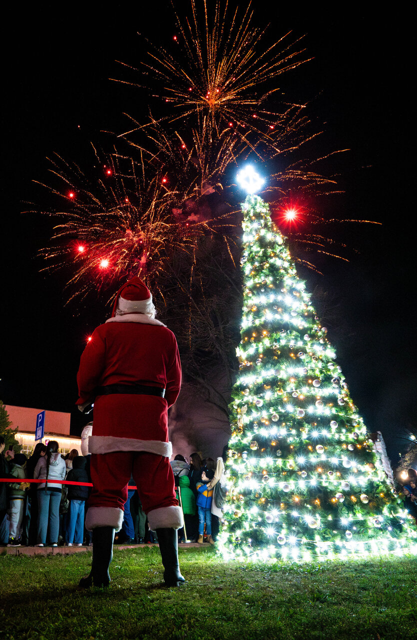 Коледно от Захари Минчев - Zaxo