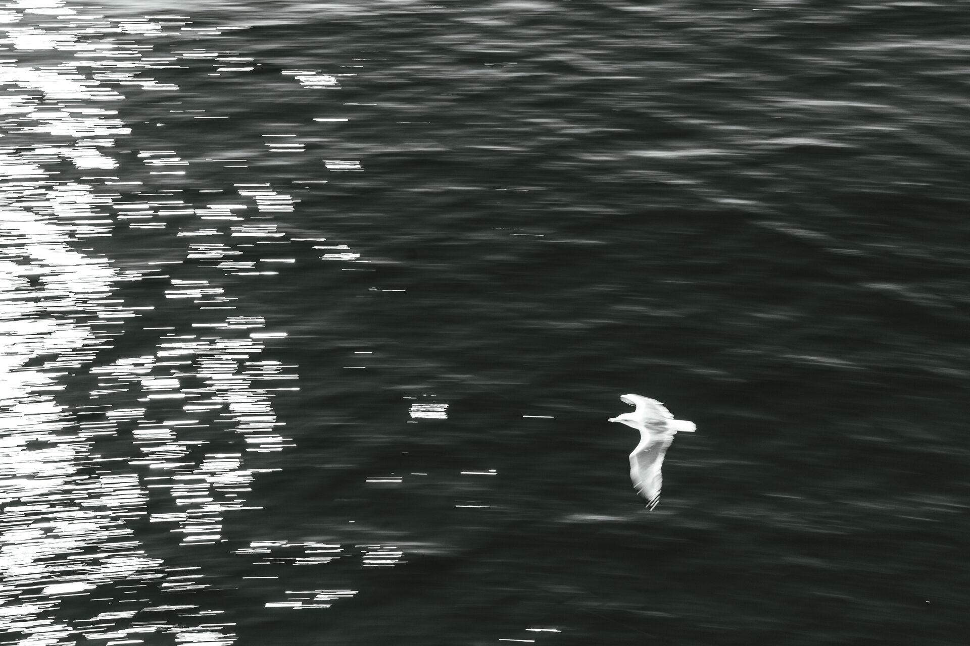 Гларус от Kristian Dragnev - kristian9107