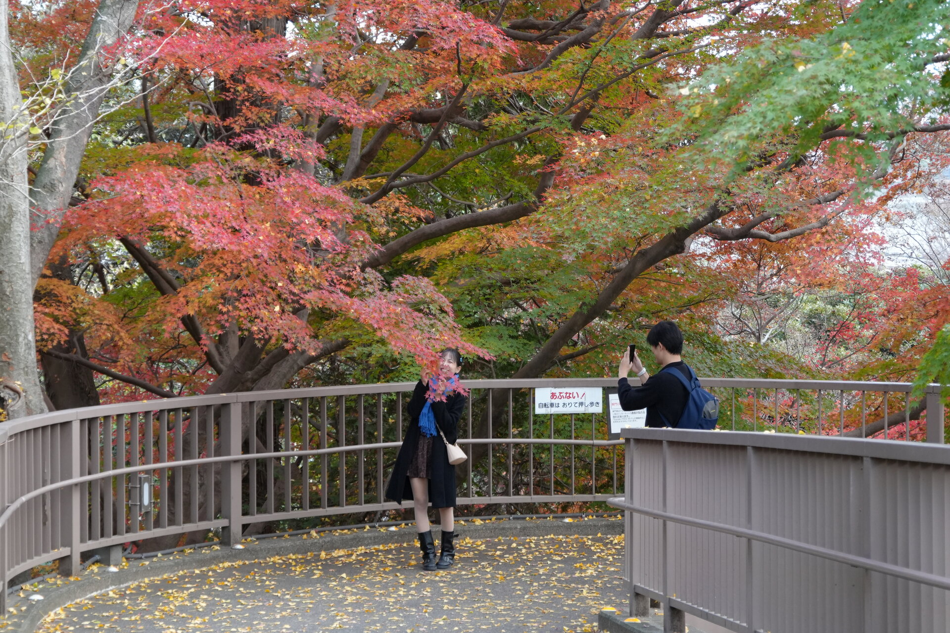 Любов, оцветена от есента от Marina Nizamska - marinizam