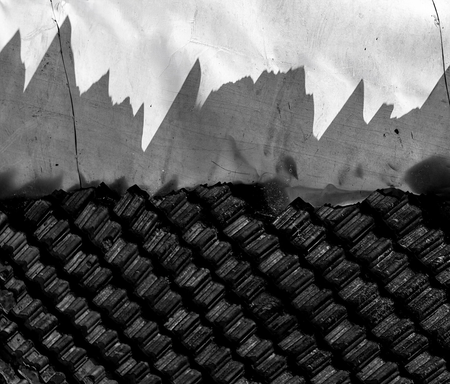 Изправени сенки от Zhivko Kazakov - jKazakov