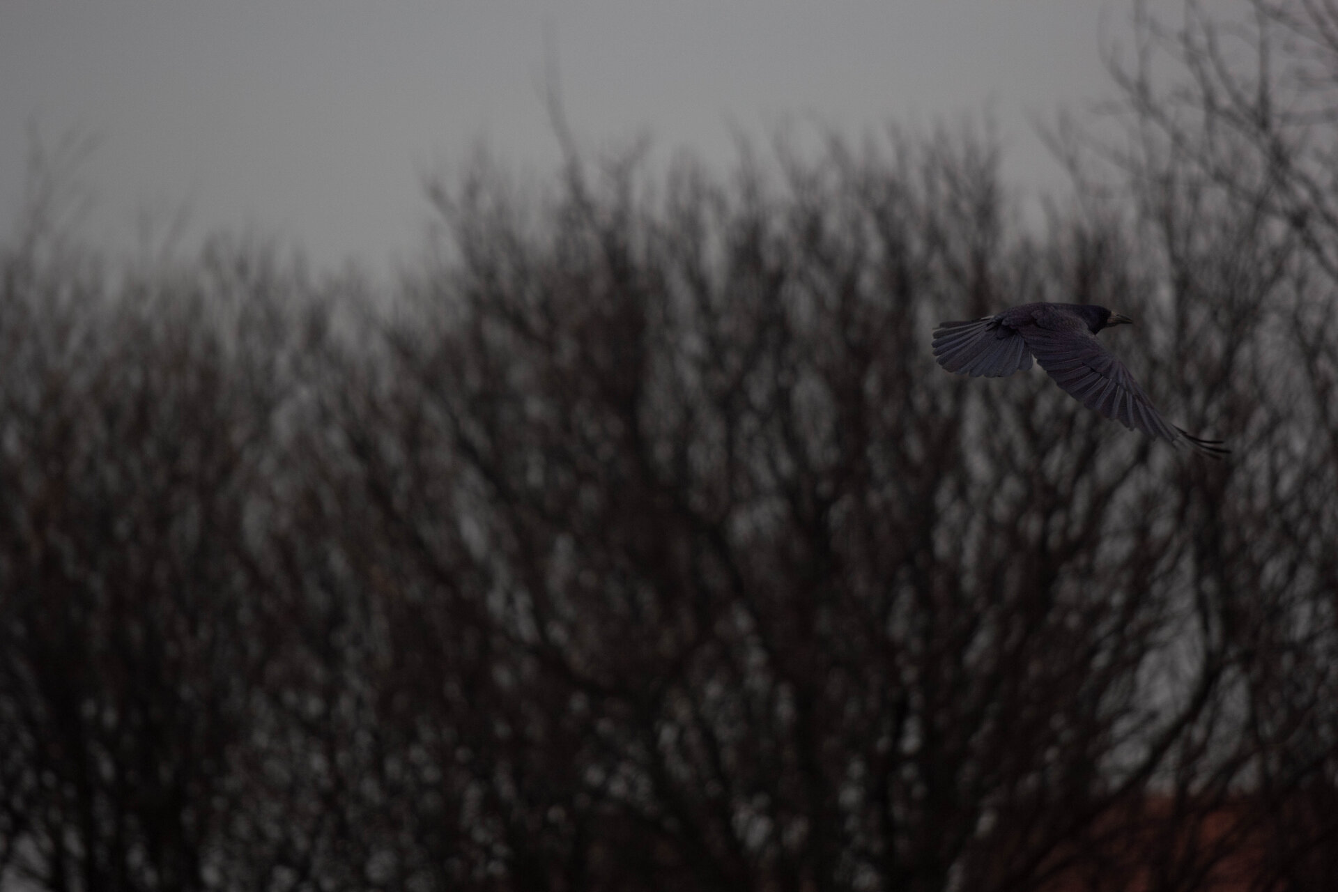 От прозореца на спалнята от Milko Enchev - M.Enchev