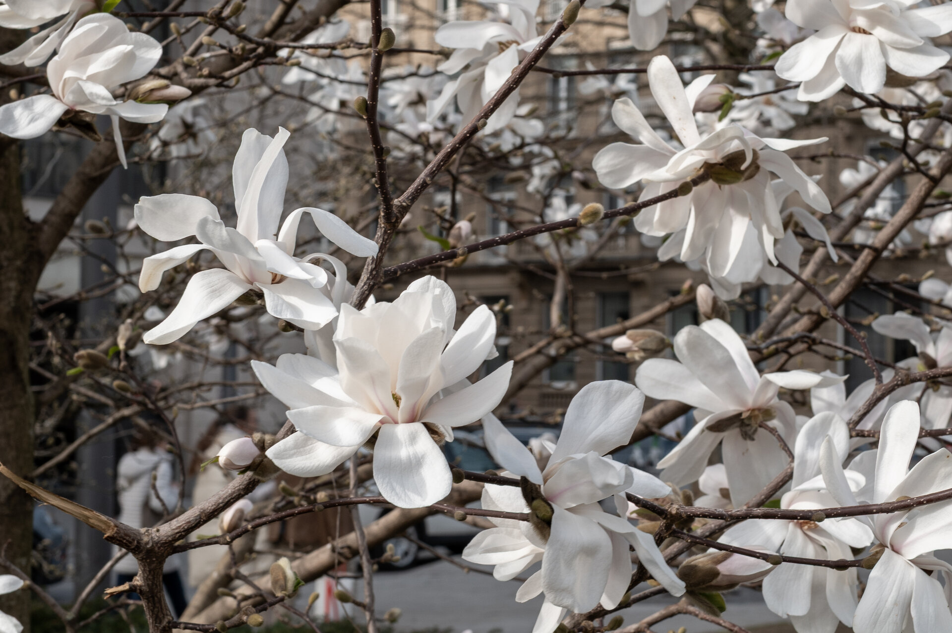 Пролет от Dimitar Bogdantsaliev - db_dimitar