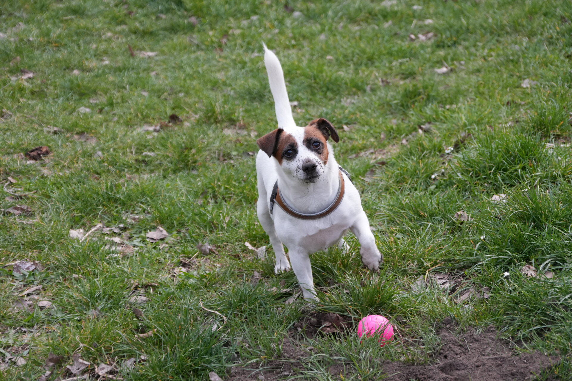 Играй с мен! от Marina Nizamska - marinizam