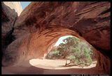 arches ; Коментари:14