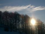 февруарско слънце ; comments:6
