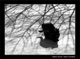 черна котка, черен котарак ; comments:6