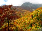 Неистовите цветове на есента ; comments:45