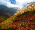 Неистовите цветове на есента II ; comments:54