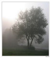 Утринна мъглица ; comments:18