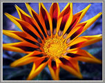 no name ( ID=58106 ) ; comments:29
