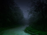 Spooky Road 2.0 ; comments:17