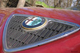 Alfa Romeo ; comments:8